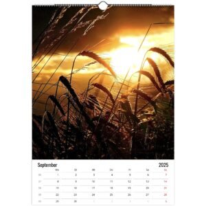 4ca818f0-3a22-459e-9c2a-294b4e7a3af0