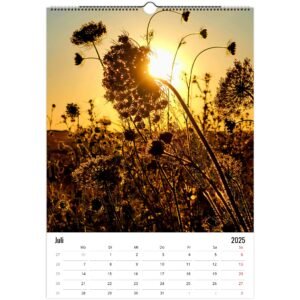 bb96ec44-80d4-4139-ac62-5021a92a9244