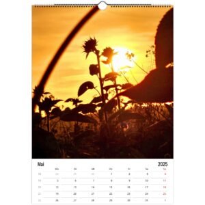 f398851a-d81f-43e5-a8bd-69f9a4f8d706